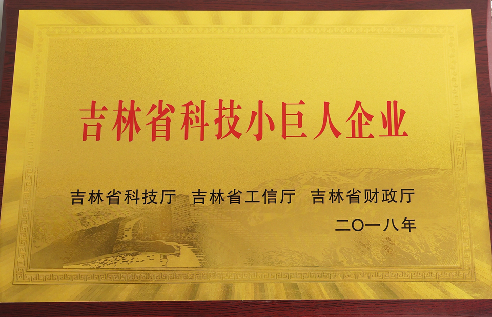 7.吉林省科技小巨人企業.jpg